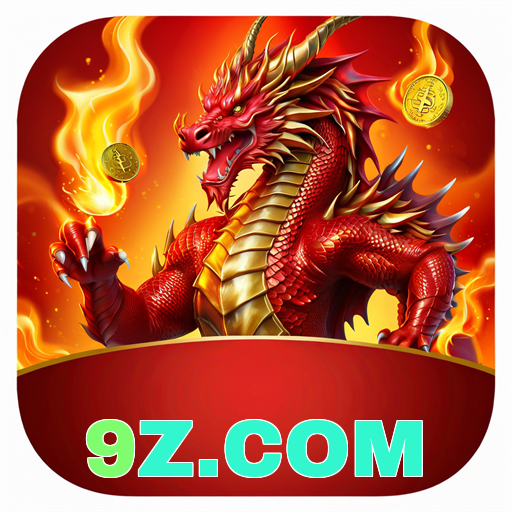 9z.com Logo